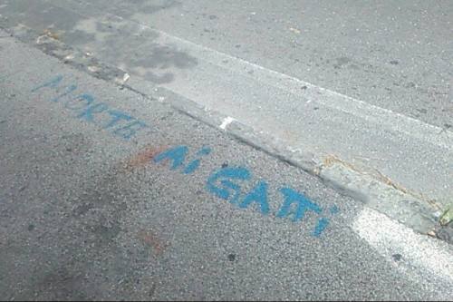 scritte contro i gatti e mici uccisi a ercolano
