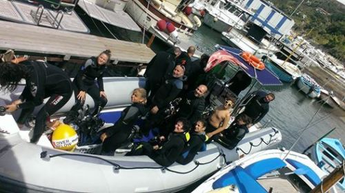 blueteam in action