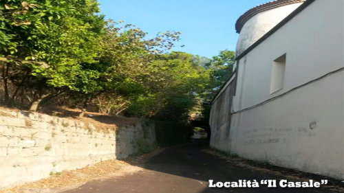 casale