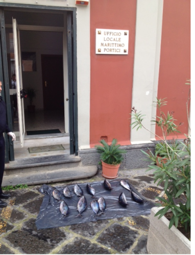 portici capitaneria