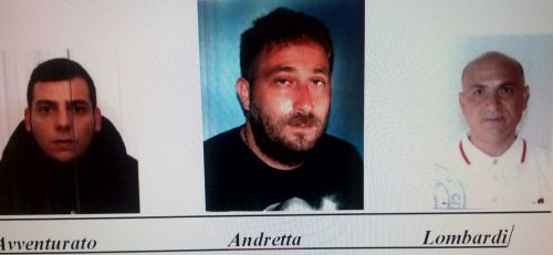 Acerra foto