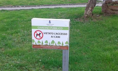 Cani