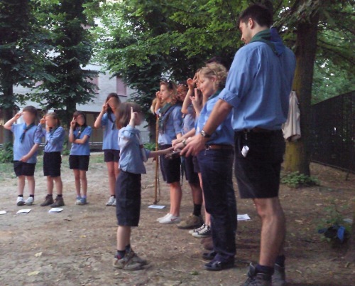 scout