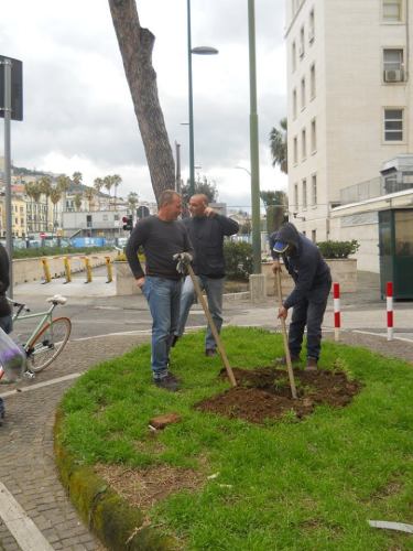 ALberi10