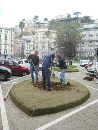 Alberi3