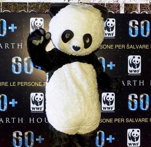la mascotte Panda (1)
