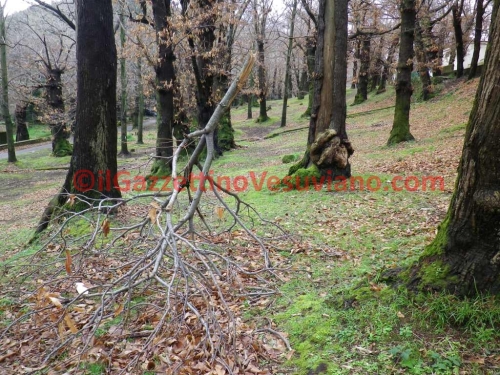 quisisana_parco (5)