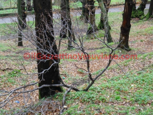 quisisana_parco (6)