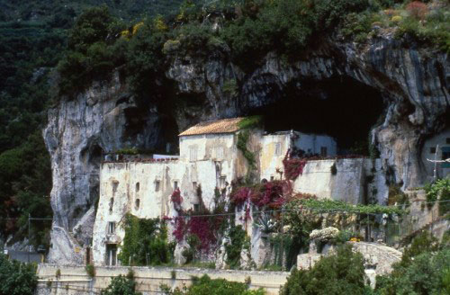 Santa-Maria-Olearia