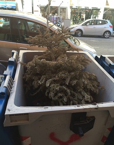 Via Tino di Camaino, cassonetto con albero di Natale (1)