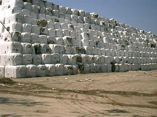 eco-balle