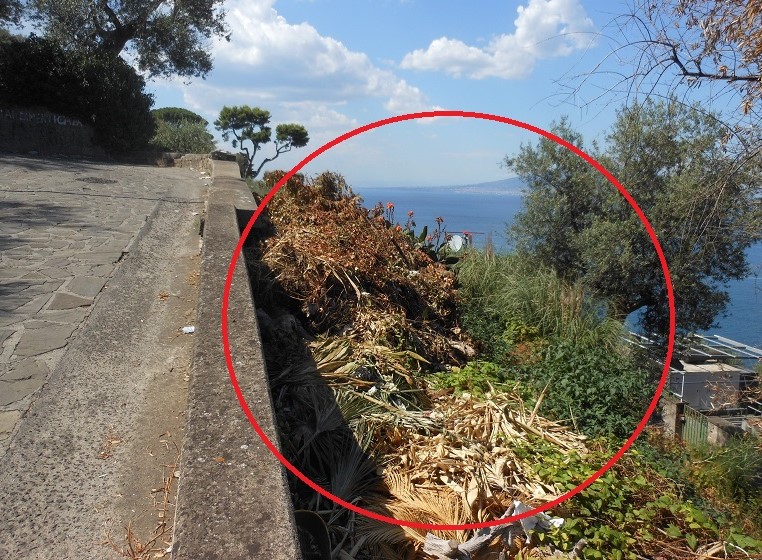 18 luglio 2016- rifiuti nella scarpata di Via Capodimonte  (2)