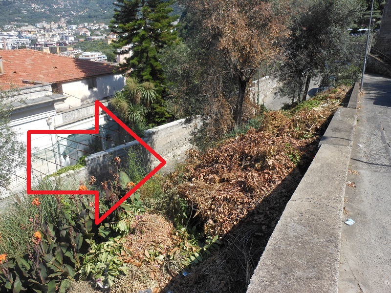 18 luglio 2016- rifiuti nella scarpata di Via Capodimonte  (3)