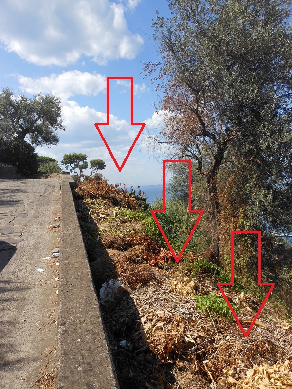 18 luglio 2016- rifiuti nella scarpata di Via Capodimonte  (5)