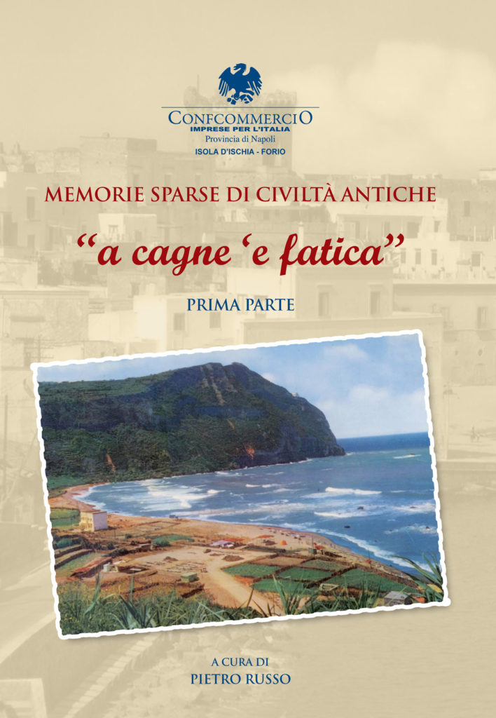 COPERTINA LIBRO DI PIETRO RUSSO