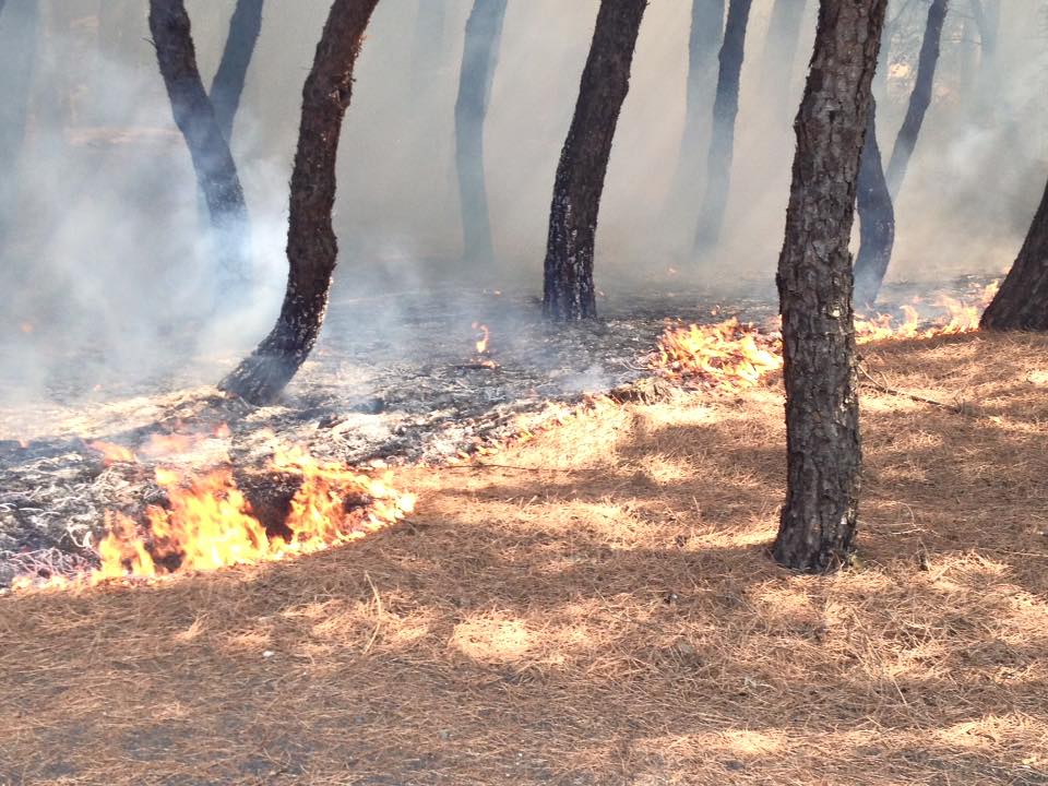 incendio terzigno2