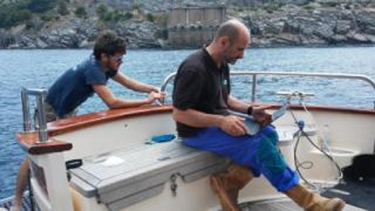 punta campanella app