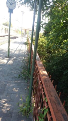IMG-20160812-WA0003