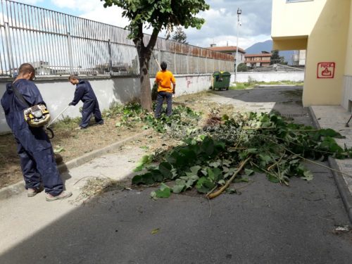 Lavori Scerbatura Annunziatella (1)