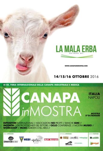 canapa-in-mostra-2016