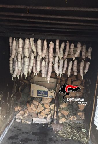macelleria-abusiva-2-1