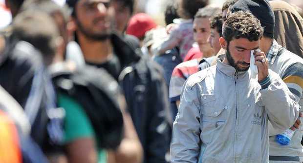 migranti