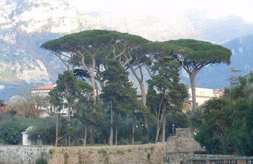 villa-fondi