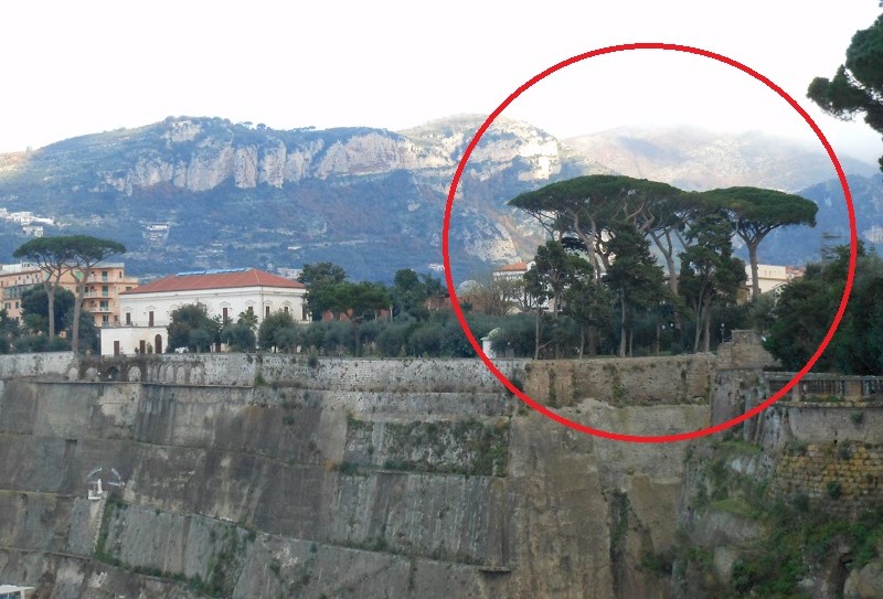 villa-fondi-pini-cerchiati