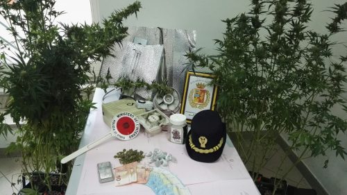 marijuana-casa-dante-2