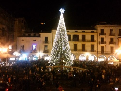 albero-cava-de-tirreni