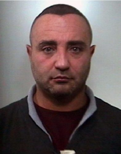 fabio-damico