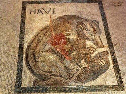 scavi di pompei Orso ferito
