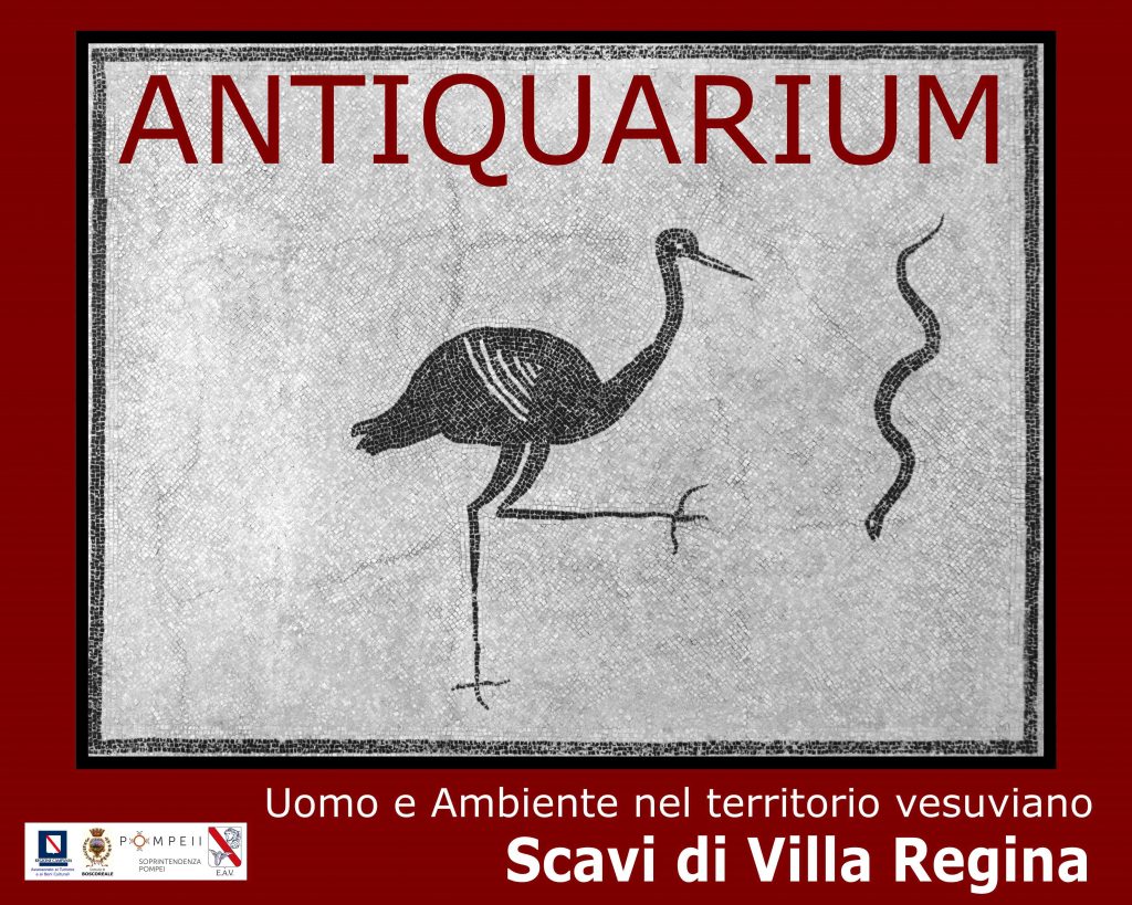 Trampoliere villa regina