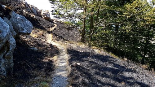 incendio lattari 3