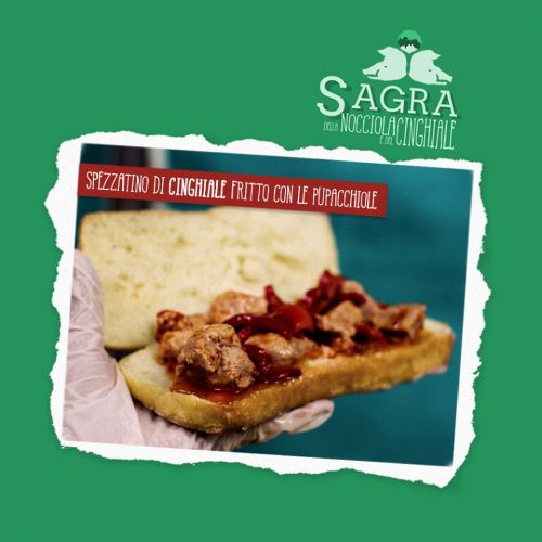 Spezzatino di cinghiale