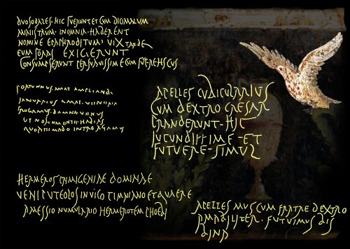 graffiti ercolano