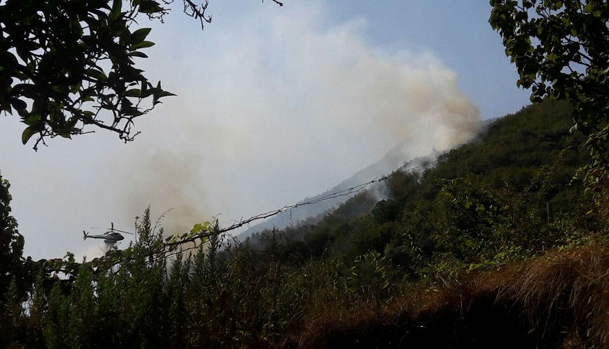 incendio sigl