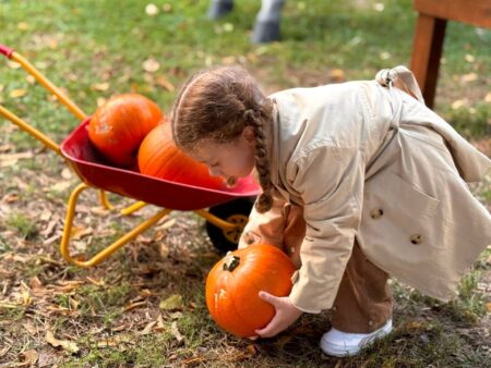 Sant’Antonio Abate apre il suo “Zucca Village”: un grande parco a tema ad ingresso gratuito per famiglie e bambini
