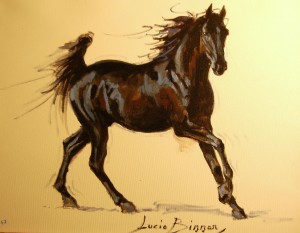 Cavallo cm 40x50 olio su tela