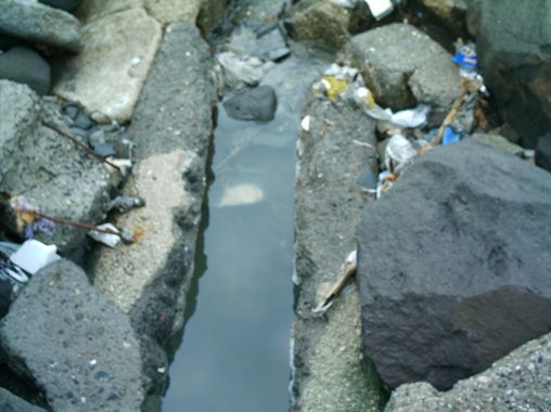 Fogna a cielo aperto alla Favorita