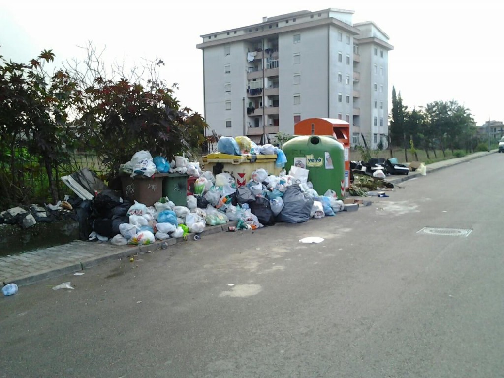 665782_10200095209687563_2098874610_o