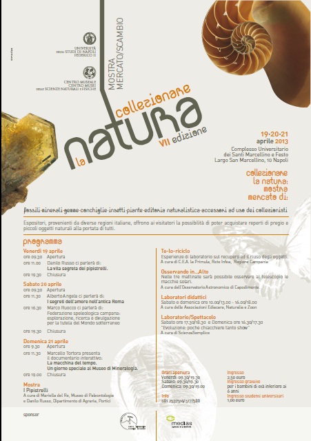 Collezionare_natura_VII