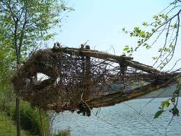 Land Art Campi Flegrei