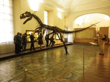 museo_paleontologia_napoli