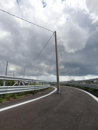 palo ponticelli prima