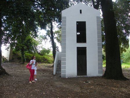 AssBarra nel boschetto per il web