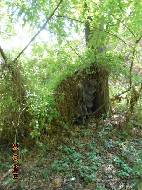 Camposanto Colerico  (3)