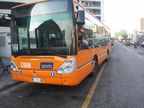 nuovi bus anm