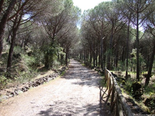 Riserva del Tirone (1) - Copia