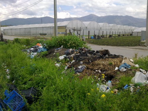 rifuti scafati (foto r. cirillo) (2)